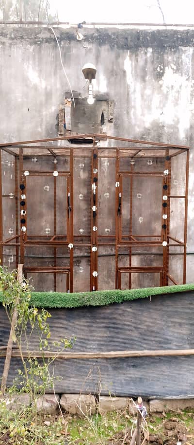  Heavy Duty Iron Bird Cage For Sale