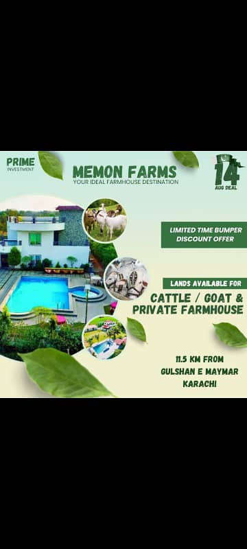 Farm house plot