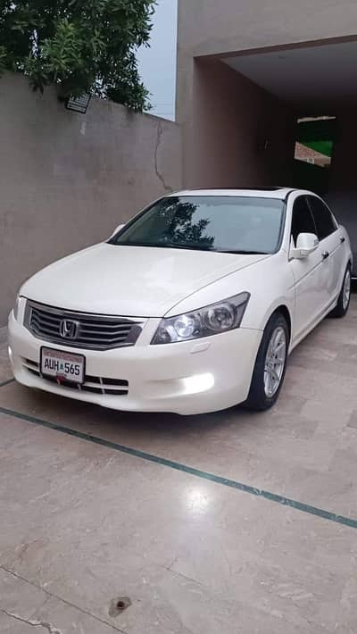 Honda Accord 2010 Pearl White