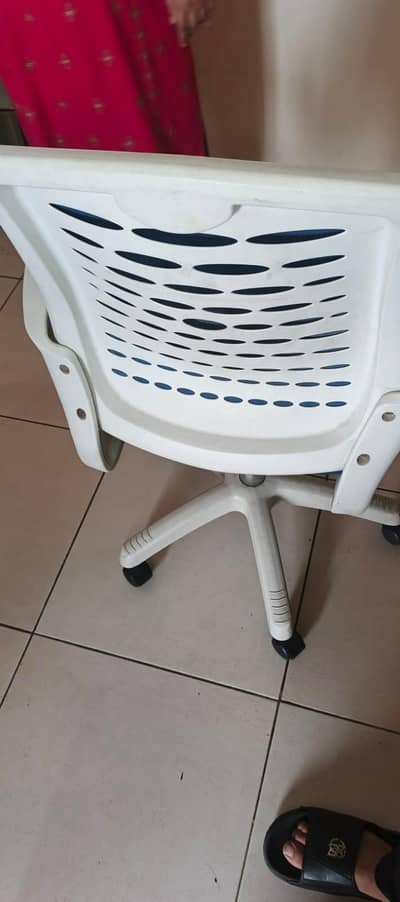 imported chair for sale