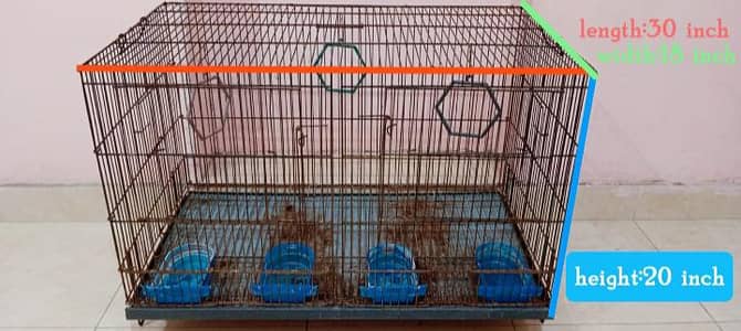 Birds Cage