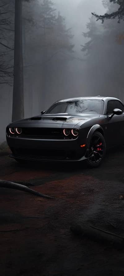 "Driver chahiyaa Indrive/ Yango k Liya"