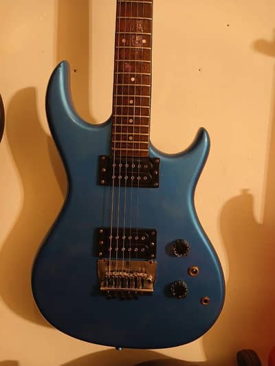 My rass roots customize electric guitar