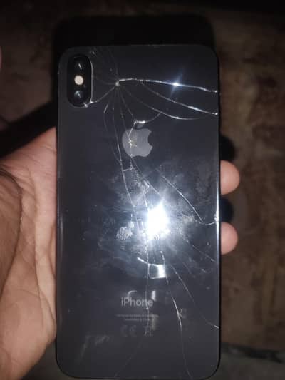 xs max non pta