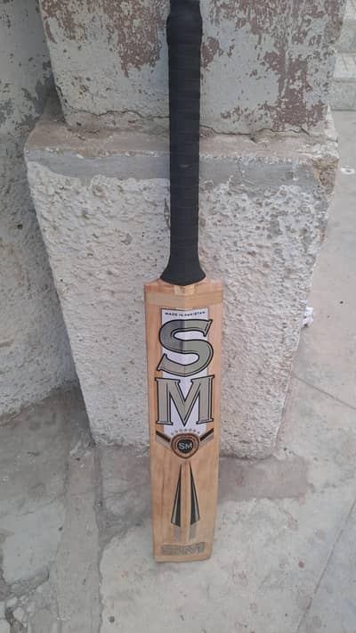 Cricket bat hard ball (MIDS)