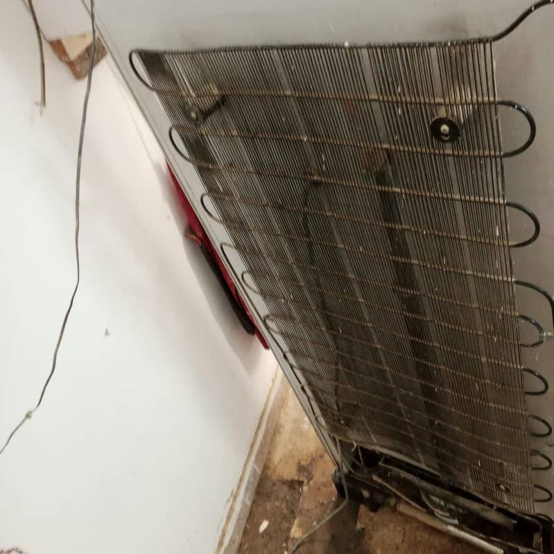 Dawlance reflection 2