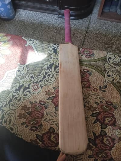 hard ball cricket bat