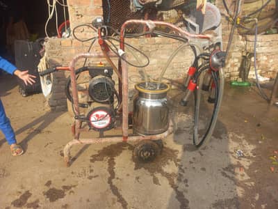 Milking Machine for Sale – Single Bucket (Almost New)