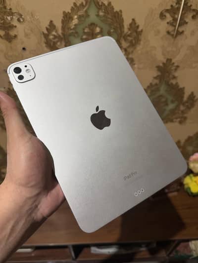 ipad pro m4 11"inch 512gb