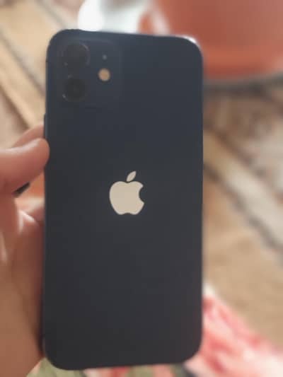 iPhone 12 update issue