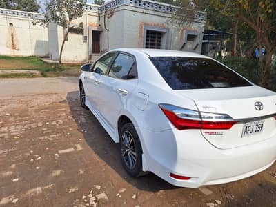 2020 model total jenion