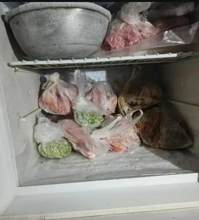 best cooling and large size