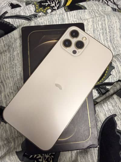 iphone 12 pro max pta approved