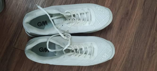 GM Original Cricket Spikes