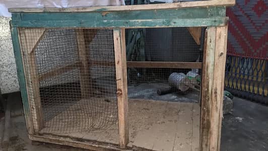 hen cage bus net new dale gayi