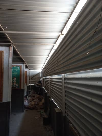Metal Shed for Sale | Strong Galvanized Sheets | Ready to Use