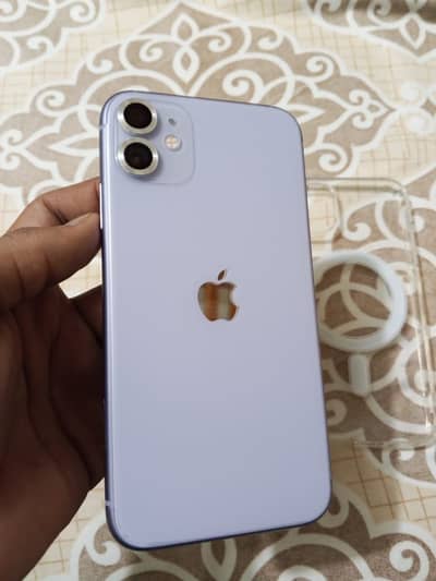 WhatsApp Number 03021697965