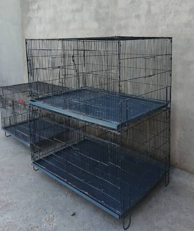Foldable Iron Cages
