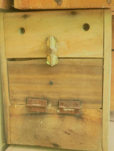 love bird& raw boxes 0.3. 43.50. 42.0. 4,6