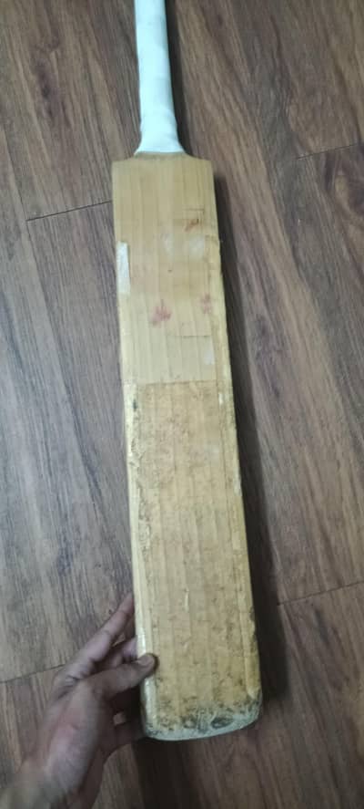 Cricket Bat 6 straight grains
