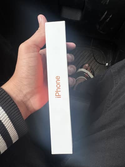 17 pro max L/A model