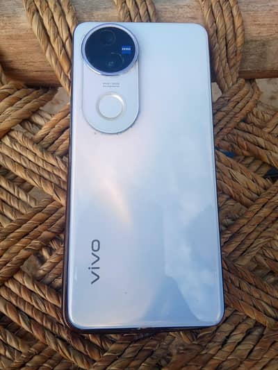 vivo v50 12/256