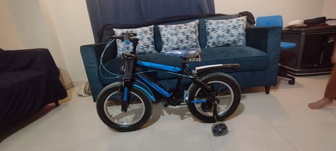 Chinese bicycle Size 18