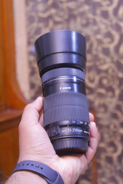 Canon 55 250mm STM