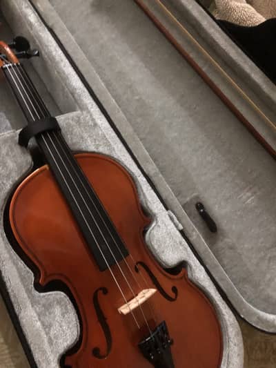 Wooden carbon violin