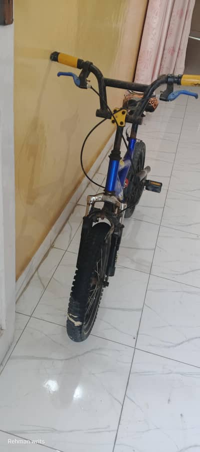 Chinese cycle for kids