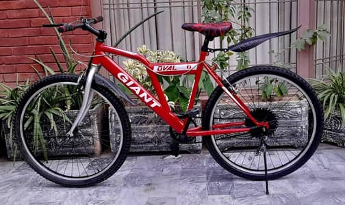 26 inches bicycle