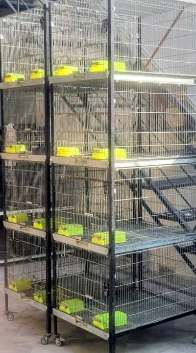 4 portion tower cage