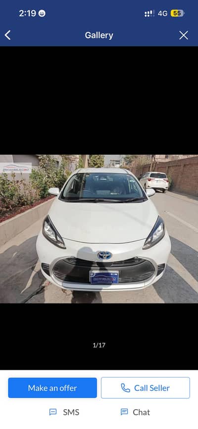 bumper to bumper original no dant pant