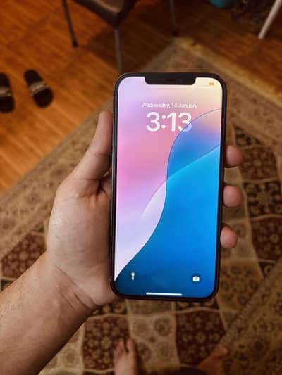 Apple Iphone 12 Pro Max