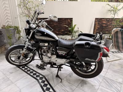 URGENT SALE hi speed cruiser freedom bike