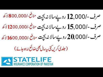 Hamza habib STATE LIFE INSURANCE LAHORE.