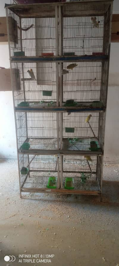8 portion cage box option with birds