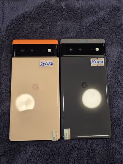 Google Pixel 6 Official PTA approved
