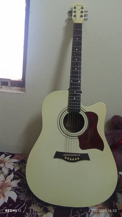 professional astraca guitar