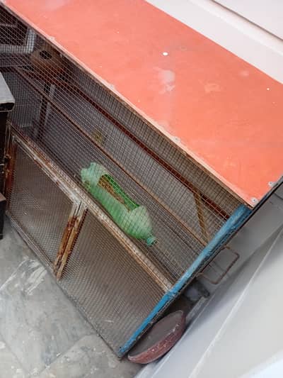 bird cage