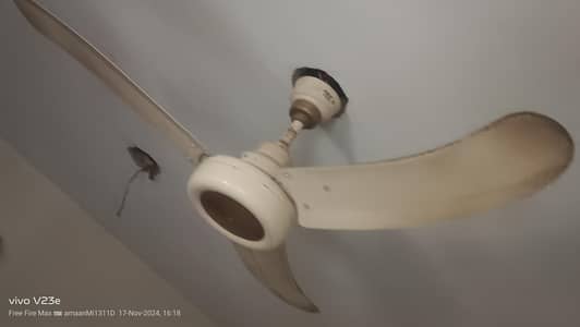 original pak fans for sale