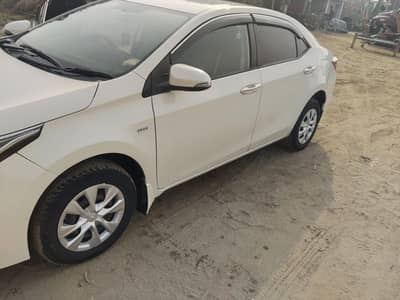 Gli 2019 modal white colour menwal