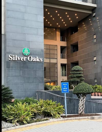 Barista , Waiter , Dishwasher,  Kitchen Helper