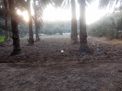 Agricultural commercial land