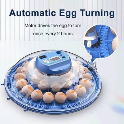 6 , 8 and 16 eggs Automatic Incubator