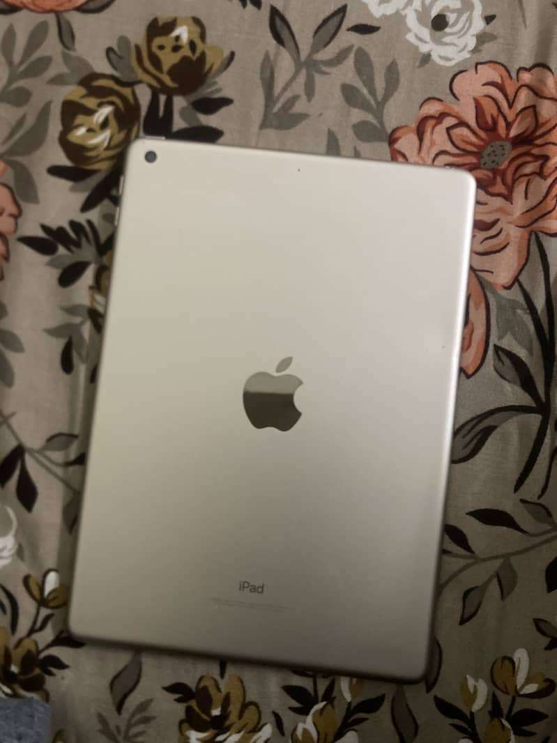 iPad 5th gen 0