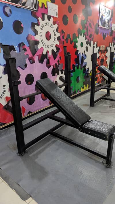 Adjustable Bench Press