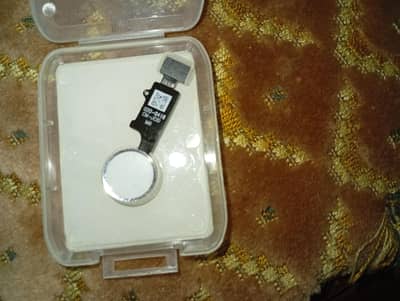 iPhone 7 or 8 home button