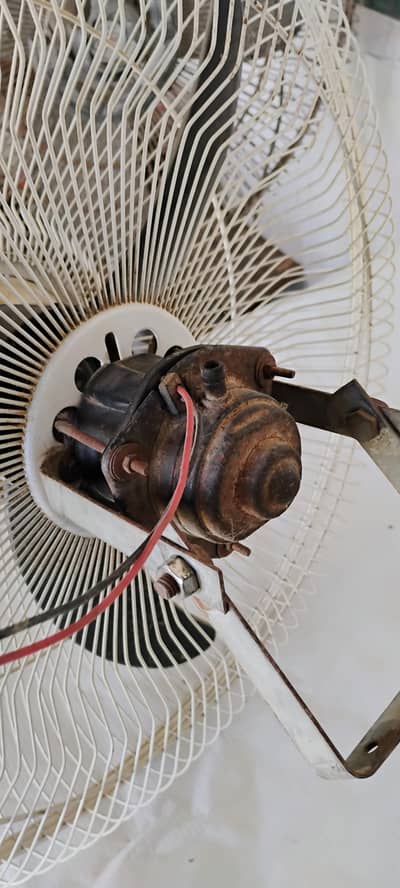 12 volt DC fan