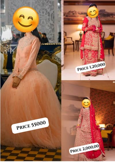 Bridal Lehenga/Bridal Sharara/Formal Dress/Wedding Dress/Bridal Dress